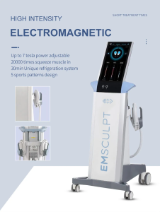 cryolipolysis +ems slimming machine