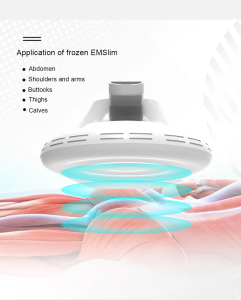 cryolipolysis +ems slimming machine